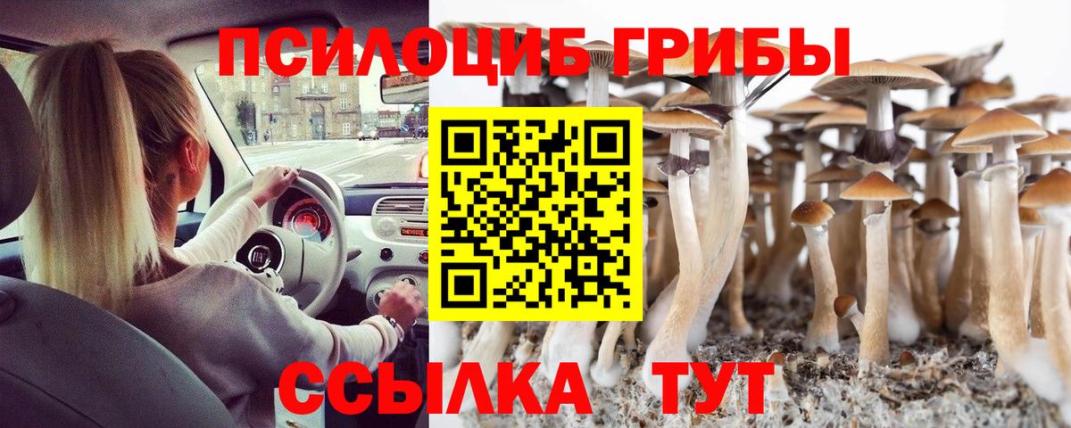 что такое наркотик  Галлюциногенные грибы мицелий  Туймазы  Вход с VPN  Псилоцибиновые грибы GOLDEN TEACHER 